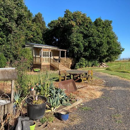 Villa The Treehut Ohauiti Esterno foto