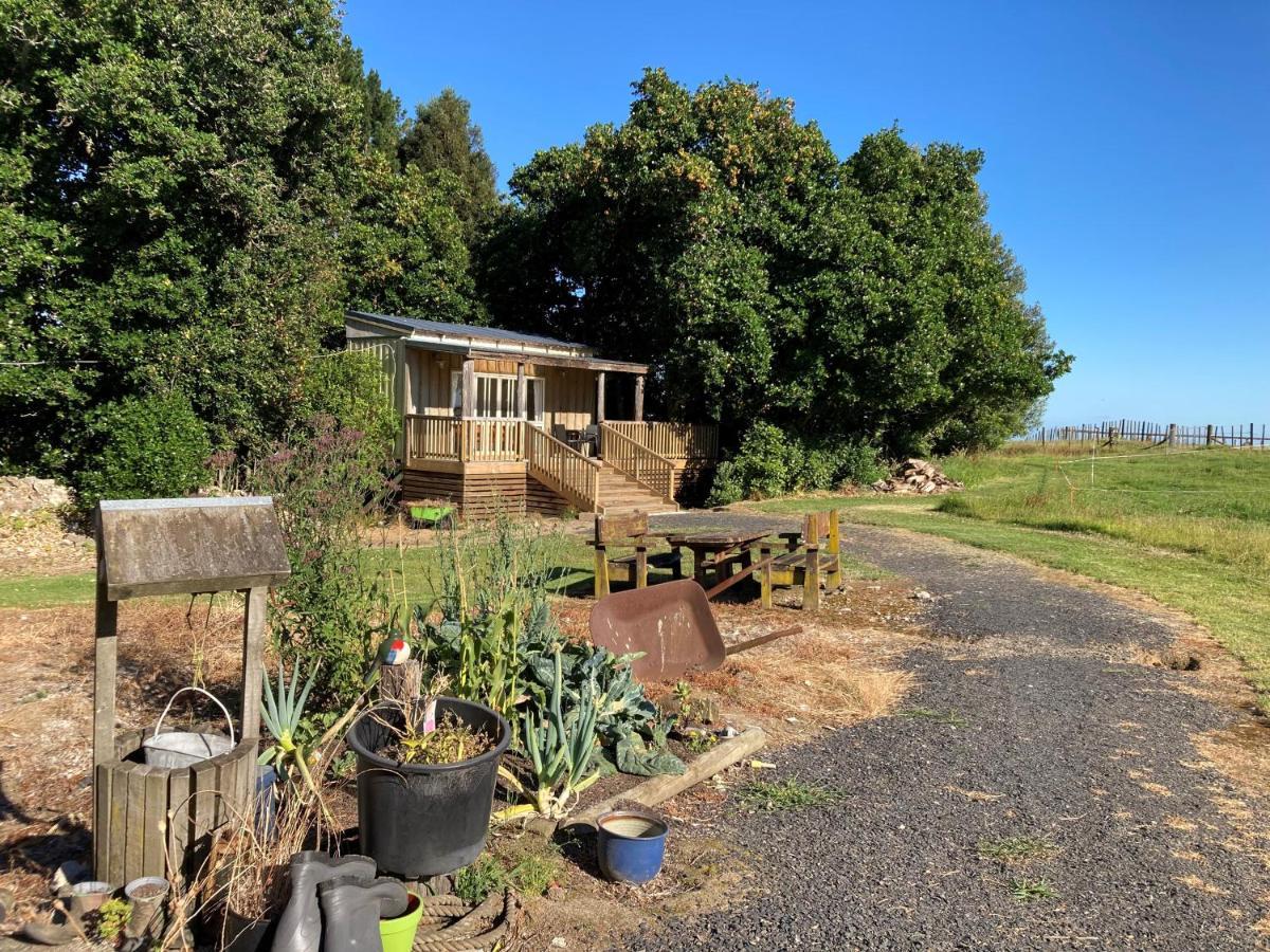 Villa The Treehut Ohauiti Esterno foto