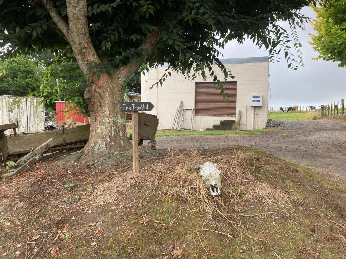 Villa The Treehut Ohauiti Esterno foto